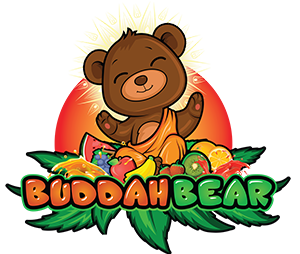 Buddah Bear