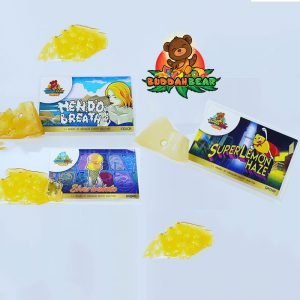 Buddah Bear Shatter